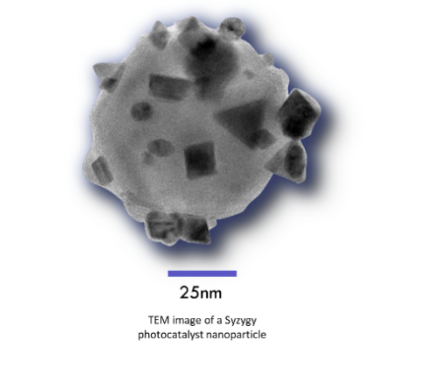 Nanoparticle incorporating catalyst